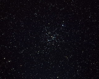 M41