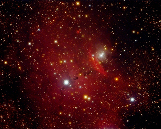 NGC6559